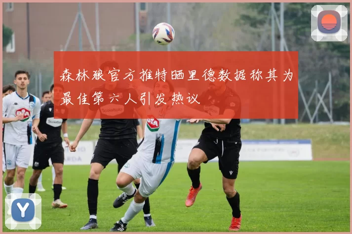 森林狼官方推特晒里德数据称其为最佳第六人引发热议